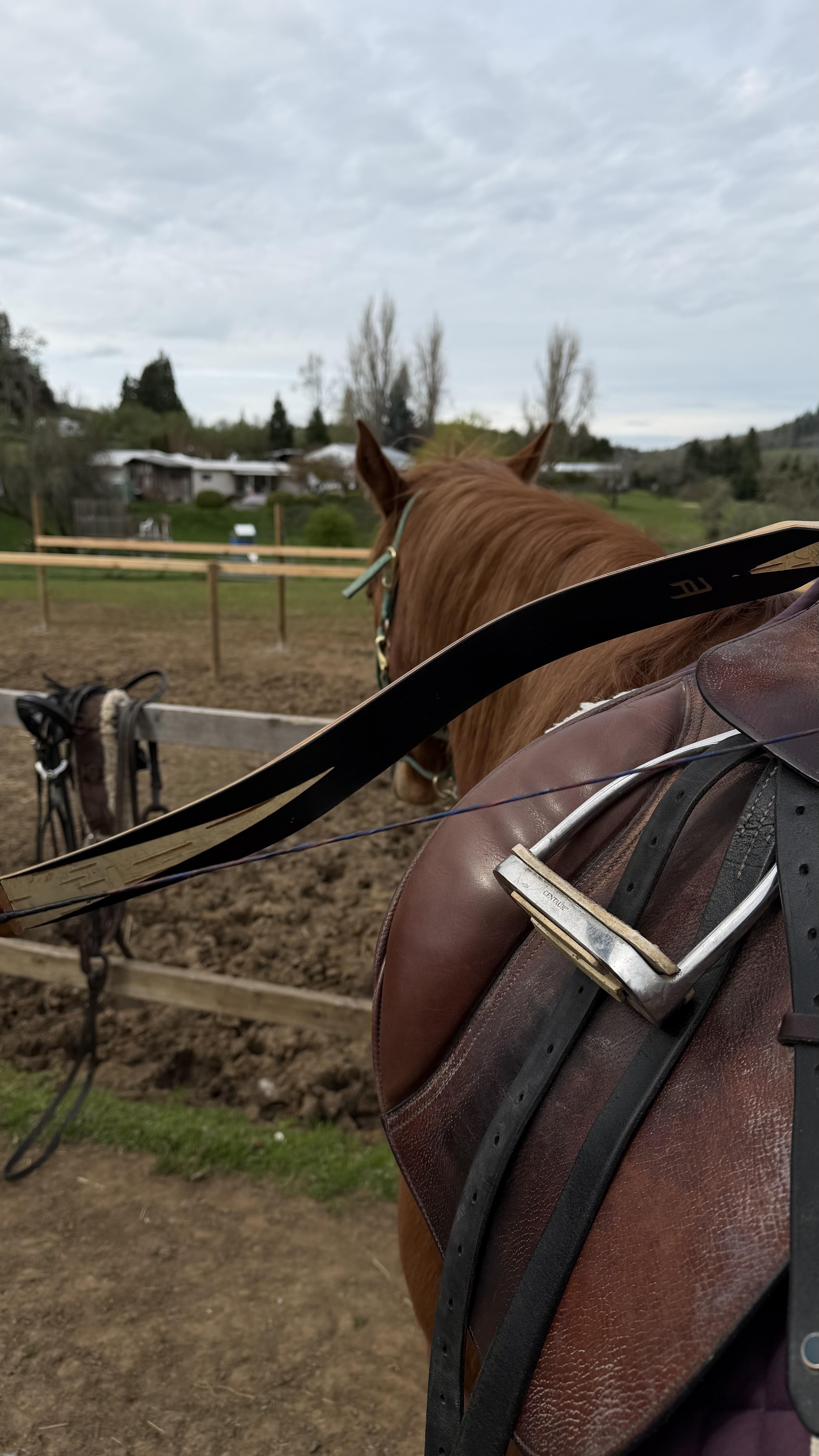 Ben Roth on horseback with one of his horses.